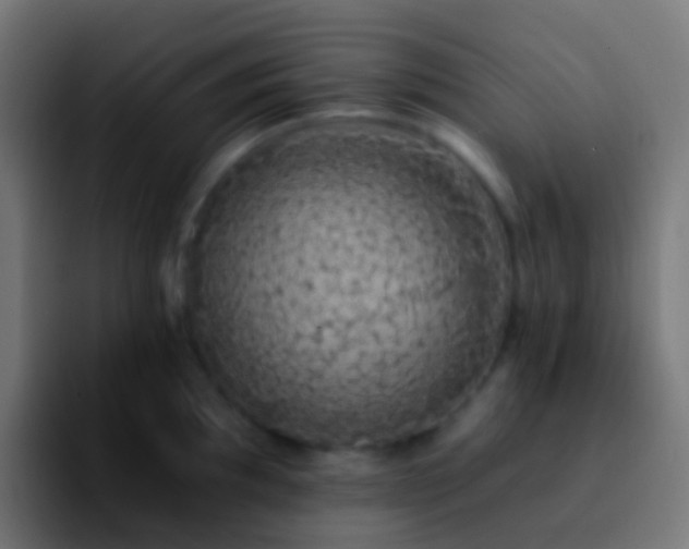 X0000092261097200709211115