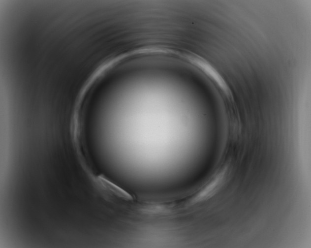 X0000092261101200709211115