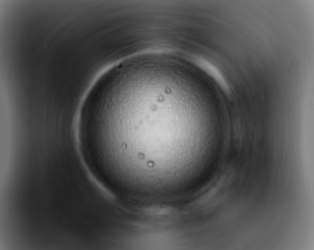 X0000092261103200709211115