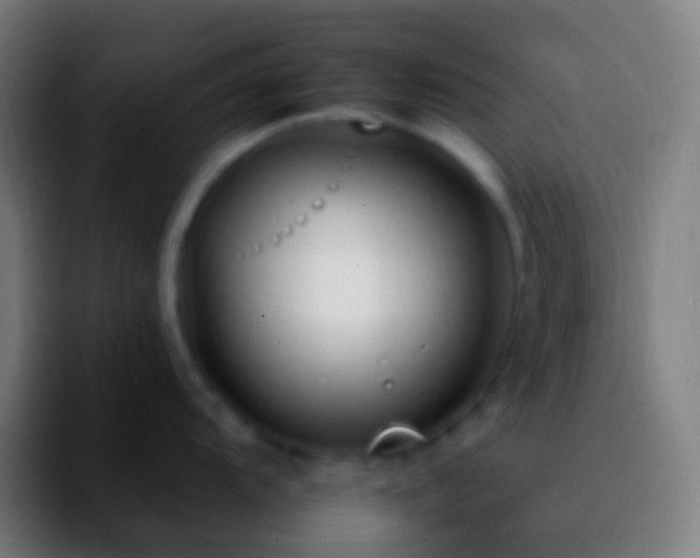 X0000092261104200709211115