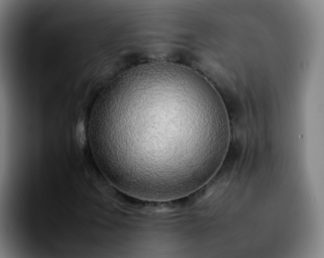 X0000092261106200709211114