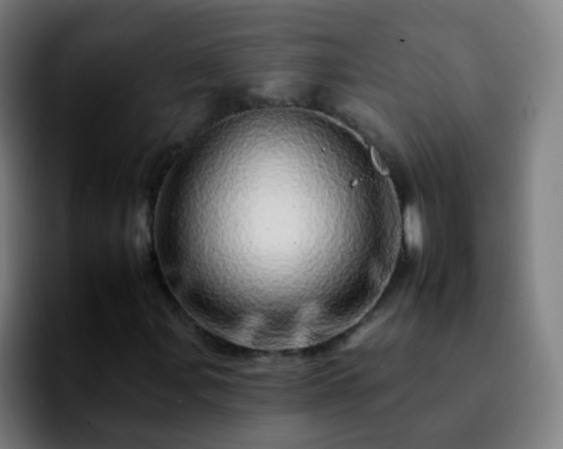 X0000092261107200709211114