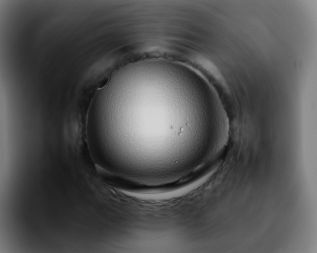 X0000092261111200709211114