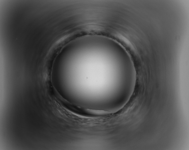 X0000092261112200709211114