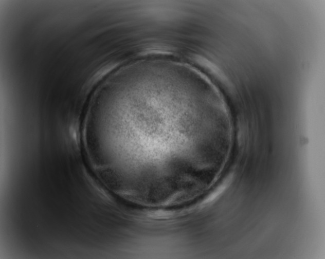 X0000092261113200709211114