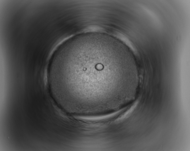 X0000092261117200709211114