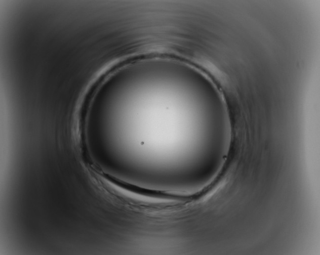 X0000092261118200709211114