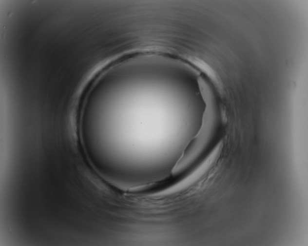 X0000092261120200709211114