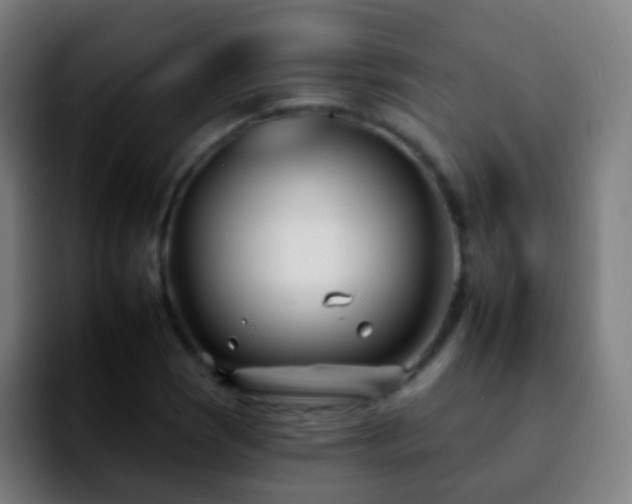 X0000092261121200709211114