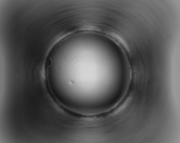 X0000092261125200709211114