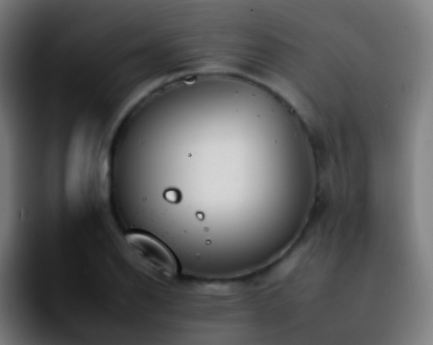 X0000092261126200709211114