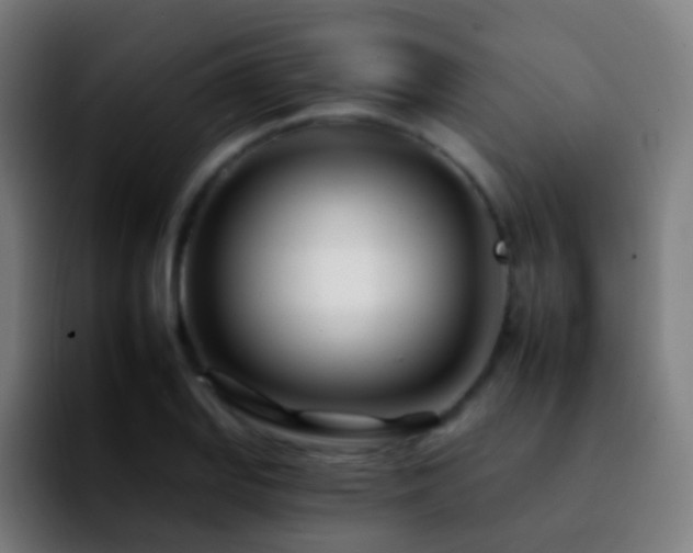 X0000092261127200709211114