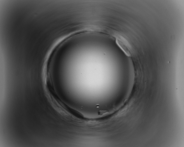 X0000092261128200709211114