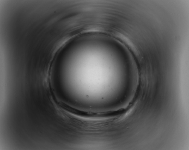 X0000092261129200709211114