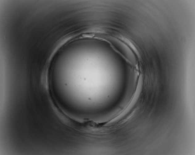 X0000092261131200709211114