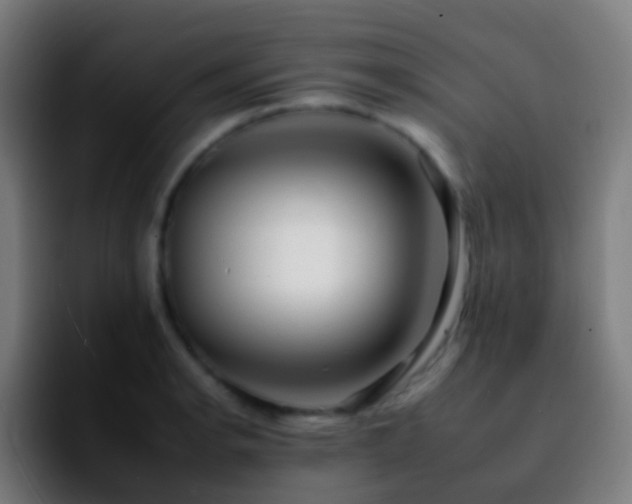 X0000092261134200709211114