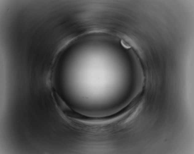 X0000092261137200709211114