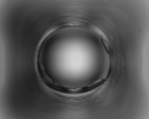 X0000092261138200709211114