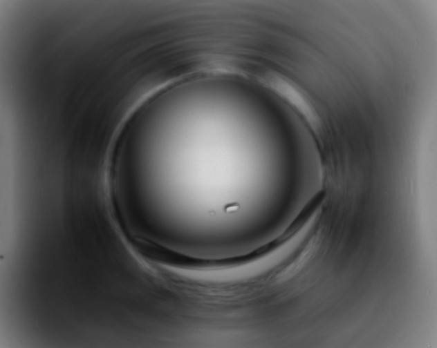 X0000092261141200709211114