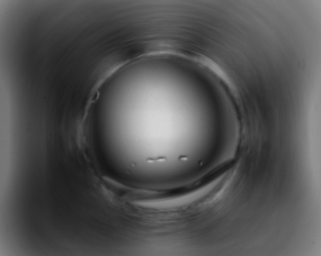 X0000092261145200709211114