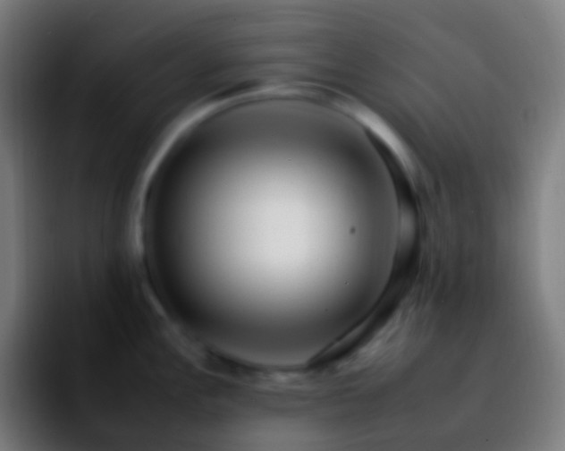 X0000092261148200709211114