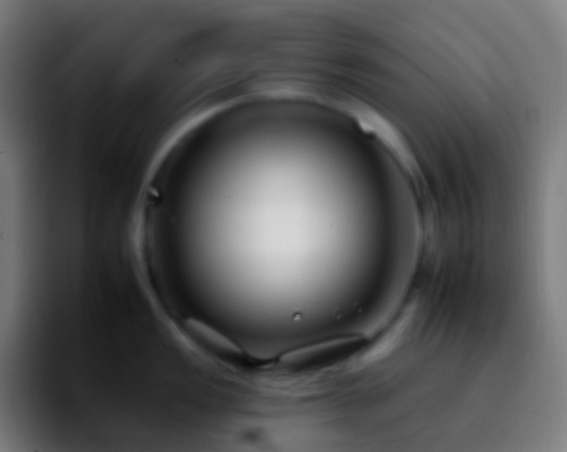 X0000092261149200709211115