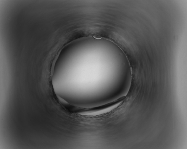 X0000092261153200709211114