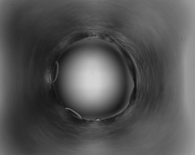 X0000092261155200709211114