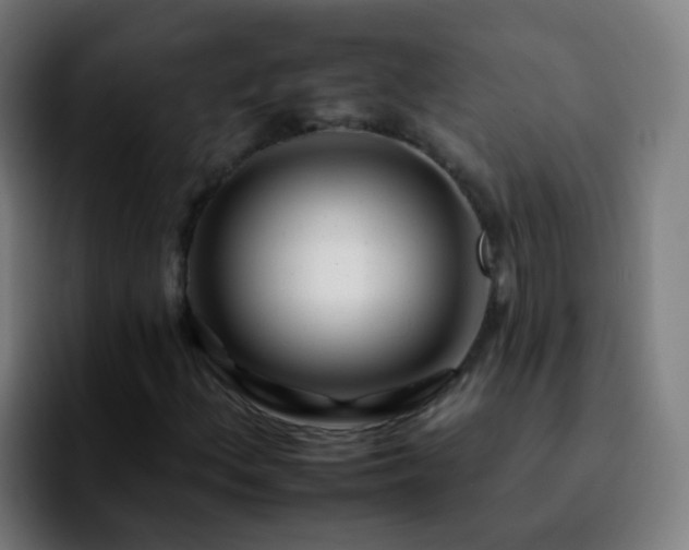 X0000092261156200709211114