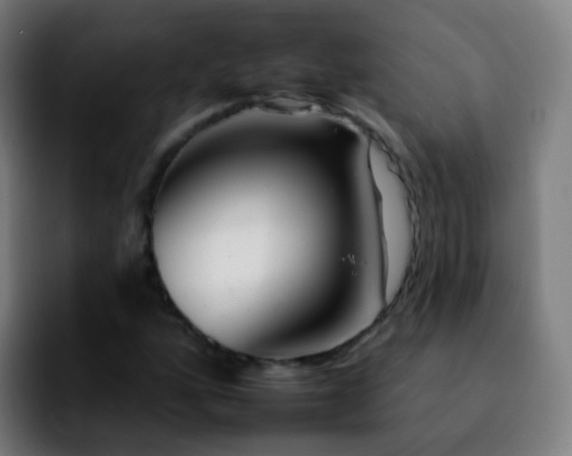 X0000092261160200709211114