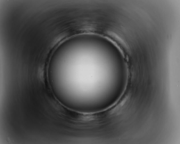 X0000092261162200709211114