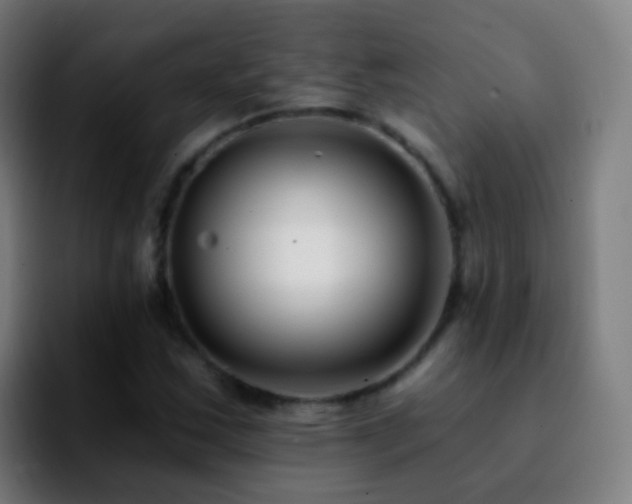 X0000092261163200709211114
