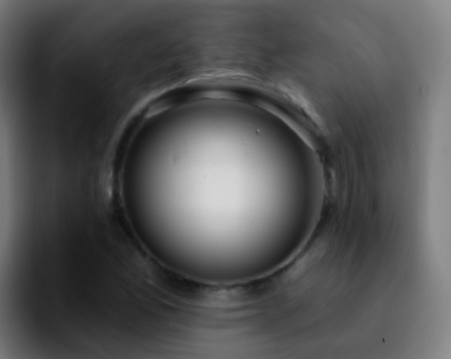 X0000092261165200709211114