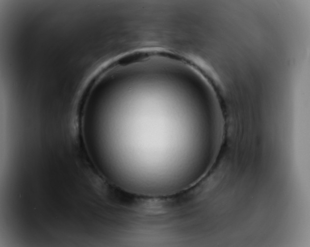 X0000092261167200709211114