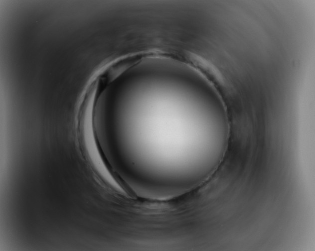 X0000092261168200709211114