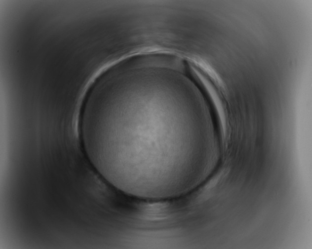X0000092261173200709211114