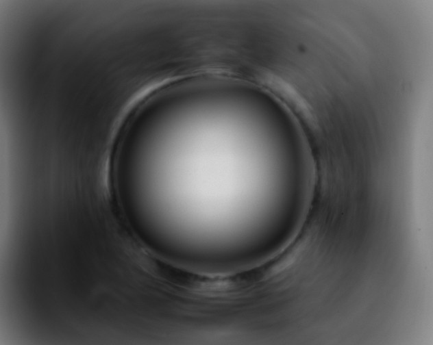 X0000092261174200709211114