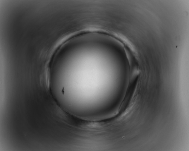 X0000092261175200709211114