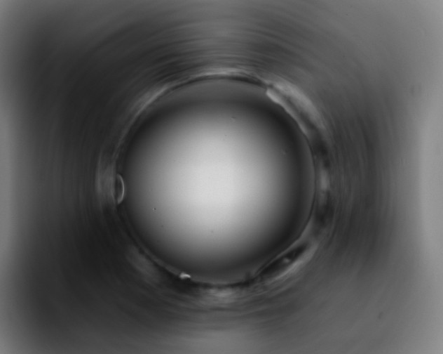 X0000092261177200709211114