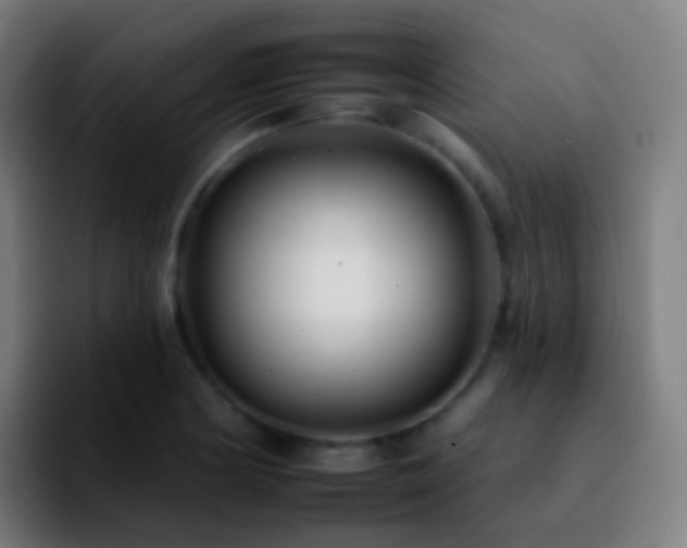 X0000092261178200709211114