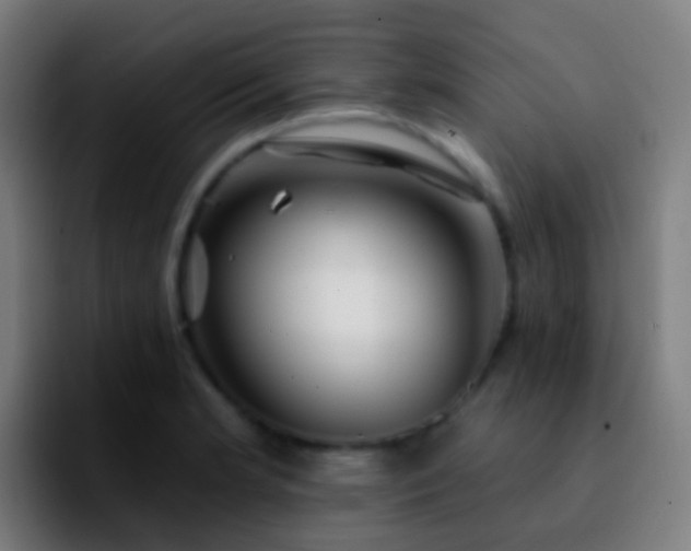 X0000092261181200709211114