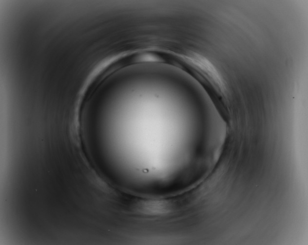 X0000092261184200709211114