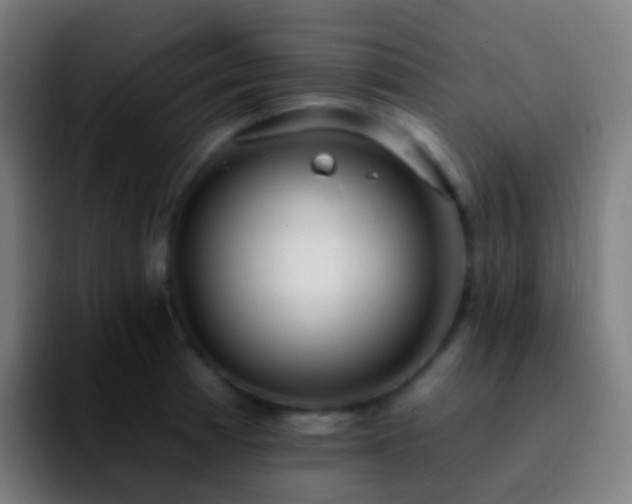 X0000092261185200709211114
