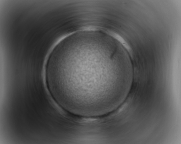 X0000092261187200709211114