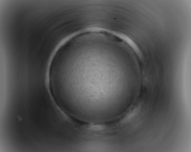 X0000092261191200709211114