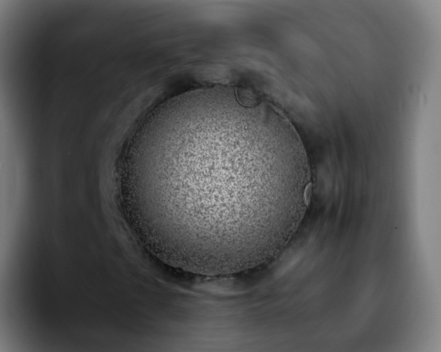X0000092261201200709211113