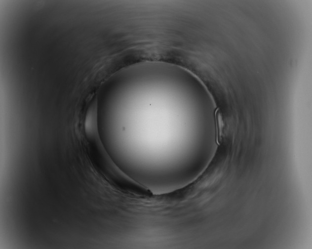 X0000092261202200709211113
