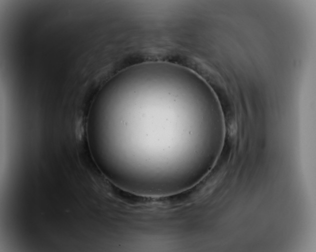 X0000092261204200709211113