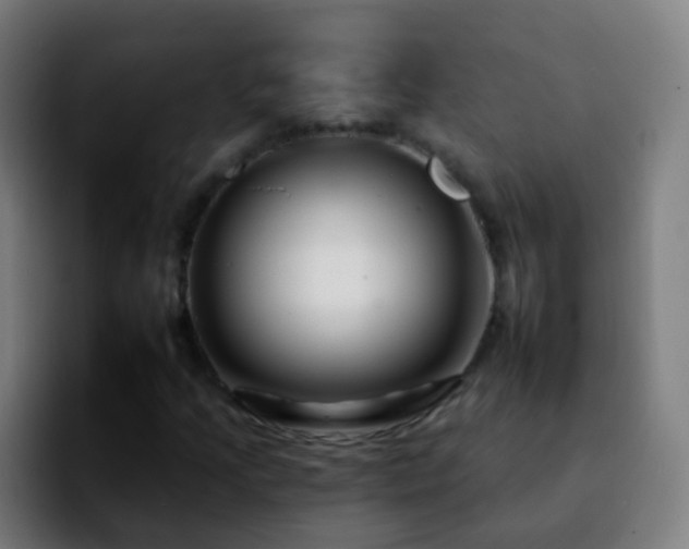 X0000092261205200709211113