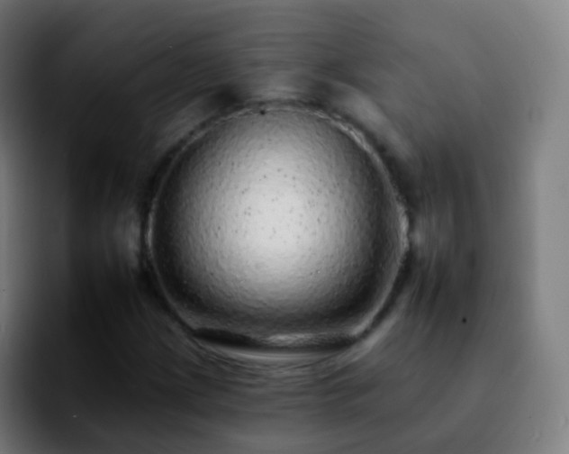 X0000092261209200709211113